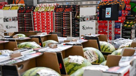 Obst ist vom Fruchthof Berlin in großen Mengen zusammengestellt © dpa/Jens Kalaene