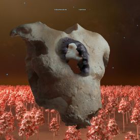 "Torso" von Soap & Skin (Albumcover) © Pias