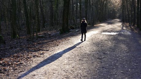 Eine Frau spaziert alleine im Wald (Symbolbild) © imago images/Frank Sorge