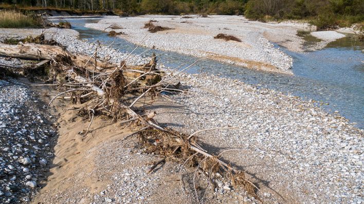 Kompletter Trockenfall der Isar, deren Wasser bei Krün in einem Kanal zum Walchensee abgeleitet wird und das Restwasser bei Wallgau unter einer meterdicken Kiesschicht versickert © imago images/Wolfilser