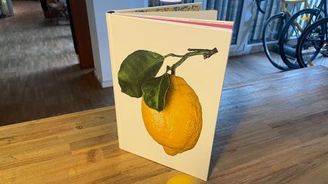Buch "Lemon" aus dem Taschen Verlag Buch "Lemon" aus dem Taschen Verlag