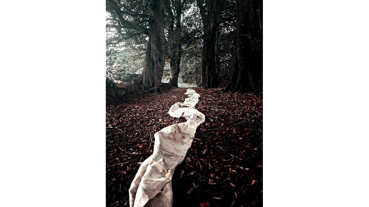 Rosalind Lowry: Endangered Species List 481, 2023, Pigment-Print (Installationsansicht; Leinen, Farbe), 78 x 58 cm