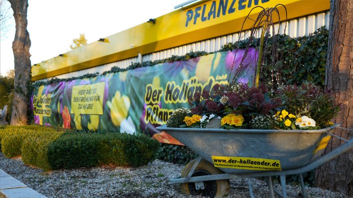 Der Holländer Pflanzencenter © Der Holländer Pflanzencenter