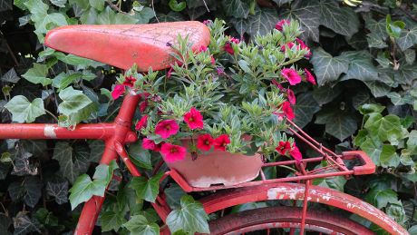 Fahrrad mit Blumenschmuck © IMAGO / Panthermedia