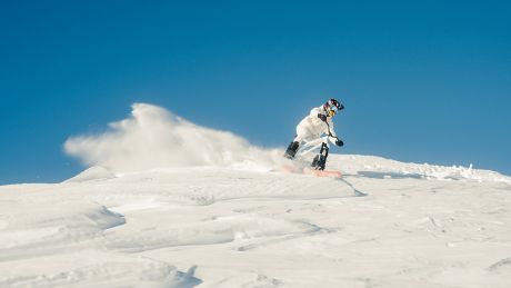 Ein Fahrer auf einem Skibike © Weißbach sports