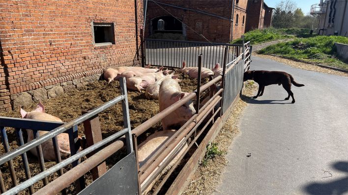 Gut Kerkow © radioeins/Johannes Paetzold