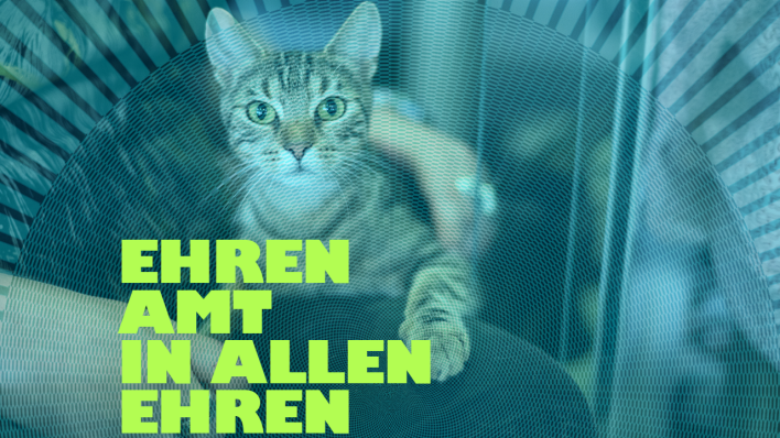 Ehrenamt - Tierheim © picture alliance/dpa
