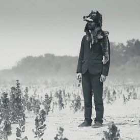 Gruff Rhys © AI/Promo