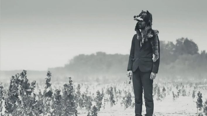 Gruff Rhys © AI/Promo Gruff Rhys © AI/Promo