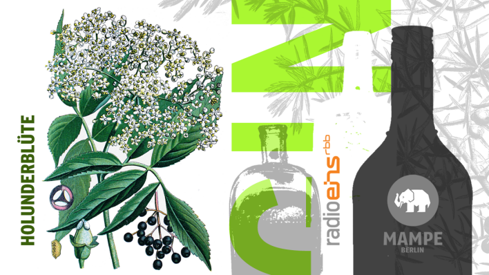 20 Paten. 20 Botanicals. 1 Gin! © radioeins