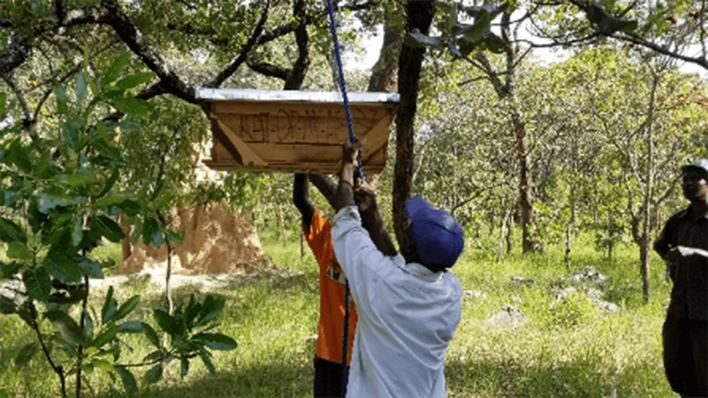 Für die lokale Bevölkerung werden neue Einnahmequellen generiert - so werden auch Bienenstöcke im Wald angesiedelt