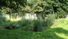 Landschaftsgarten - mit Kräutern und Gemüse