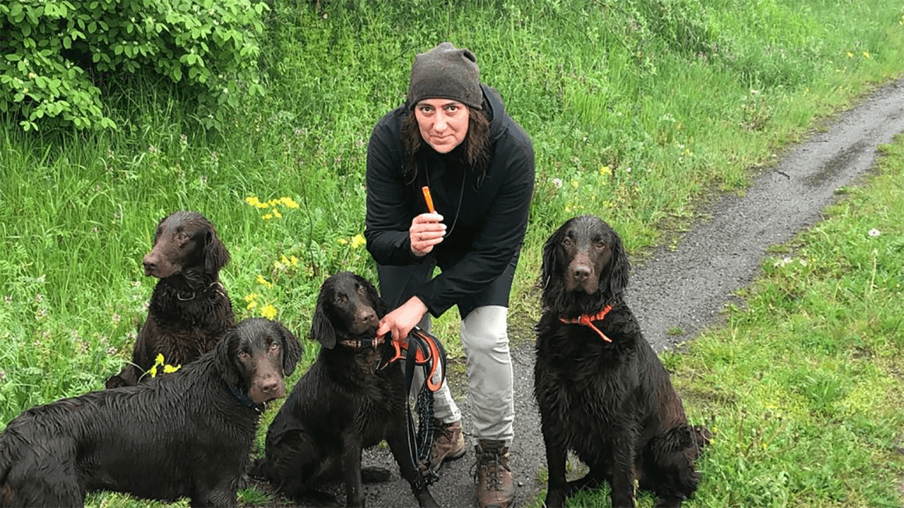 Katrin war mit ihren vier Flat Coated Retrievern laufen