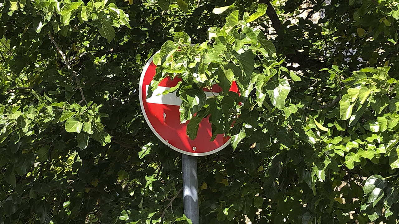 Die schöne Straße: Alt-Marzahn