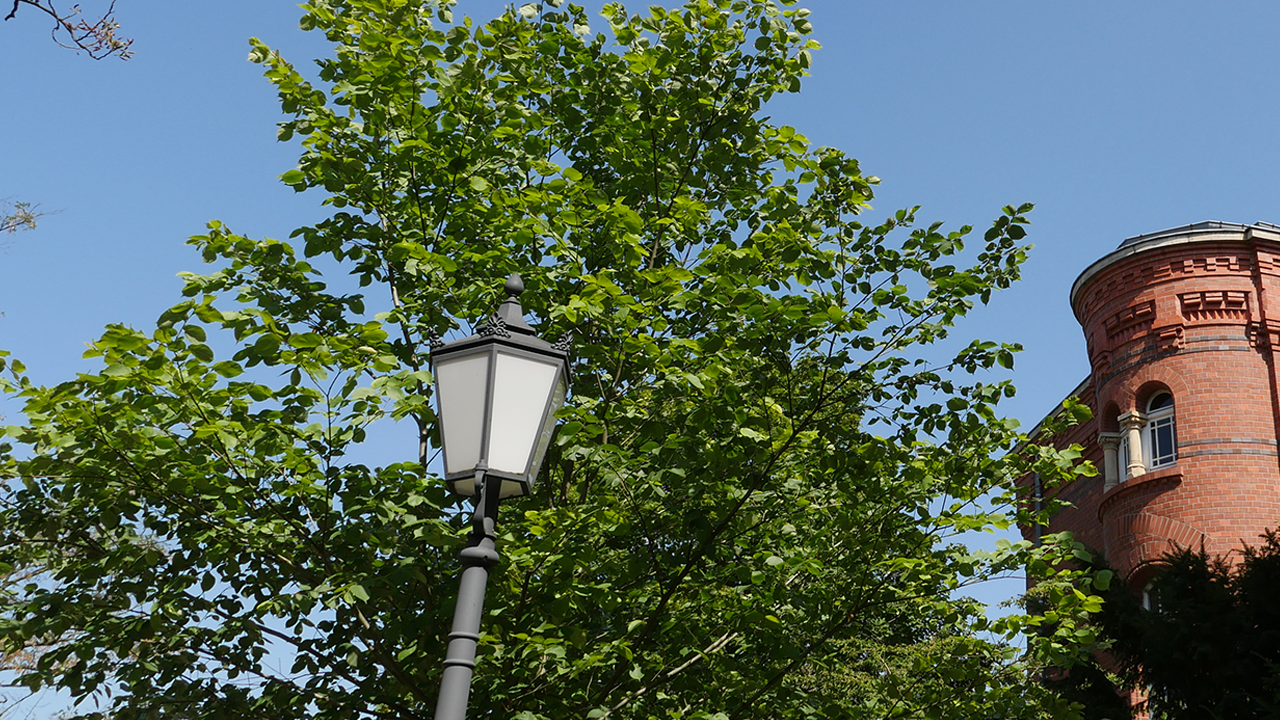 Impressionen aus der Wilhelmstraße in Spandau