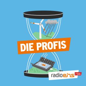 Die Profis