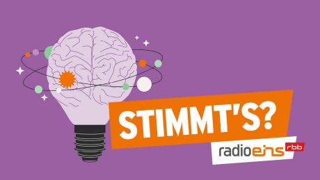 Podcast Stimmt's?