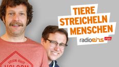 Podcast Tiere streicheln Menschen