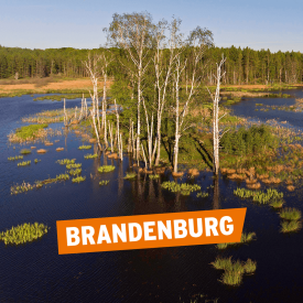 Brandenburg © IMAGO/Christian Mang