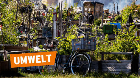 Umwelt © Hoch Zwei Stock/Angerer