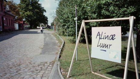 alinae lumr alinae lumr