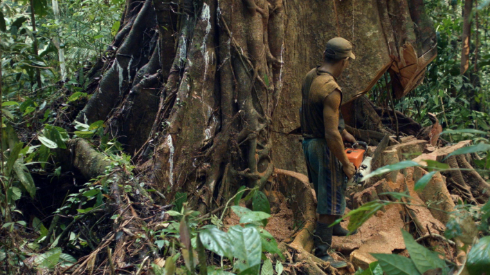 Kayu Besi, Dokumentarfilm, Indonesien, Deutschland © FFE Kayu Besi, Dokumentarfilm, Indonesien, Deutschland © FFE